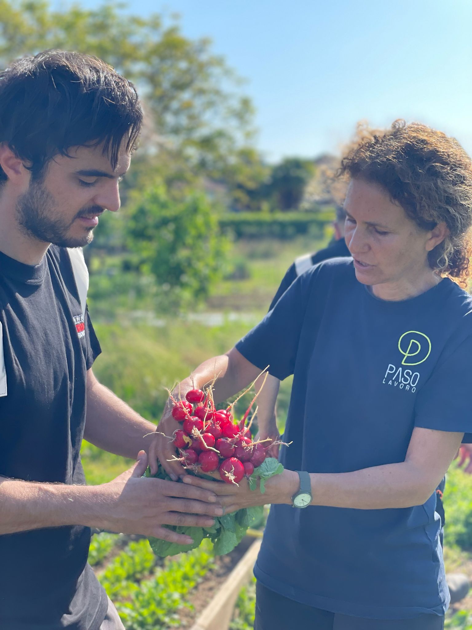 fomas group seasons greetings