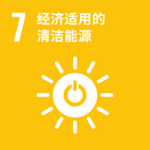 SDG cinese-17