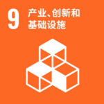 SDG cinese-9