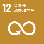 SDG cinese-12
