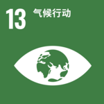 SDG cinese-17