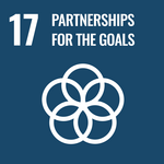 SDG 17 eng